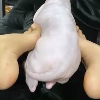 Ayisha Diaz feet photo thumbnail