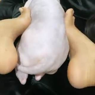 Ayisha Diaz feet photo thumbnail