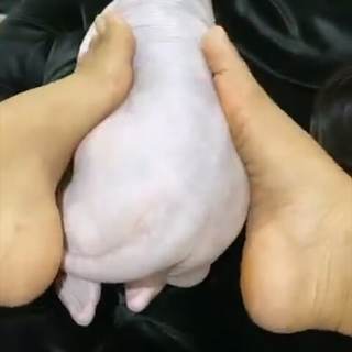 Ayisha Diaz feet photo thumbnail