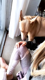 Ayla Woodruff feet photo 6