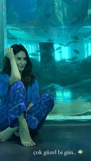 Aynur Aydin feet photo 3