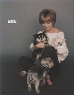Ayumi Hamasaki feet photo 15