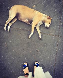 Bae Doona feet photo thumbnail