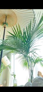 Bae Doona feet photo thumbnail