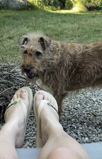 Baghera Jones feet photo 1