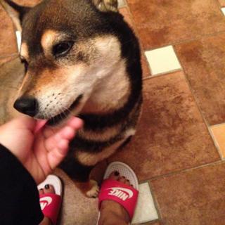 Bahar Kizil feet photo 4