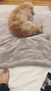 Bailee Madison feet photo thumbnail