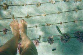 Bailey Bass feet photo 6