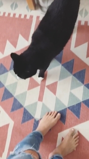 Bailey Noble feet photo 7