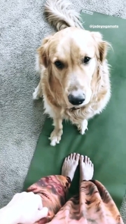 Bailey Noble feet photo 14