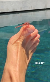 Bar Refaeli feet photo thumbnail