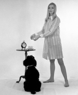 Barbara Brylska feet photo 11