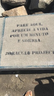 Barbara Coelho feet photo 12