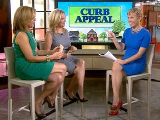 Barbara Corcoran feet photo 10