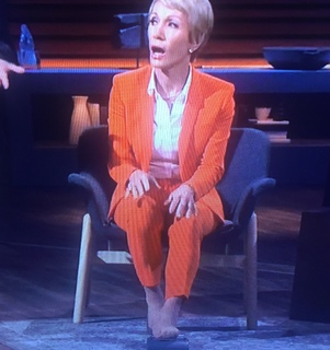 Barbara Corcoran feet photo 20