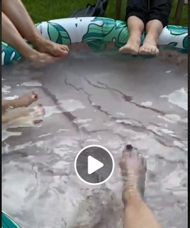 Barbara Crampton feet photo 8