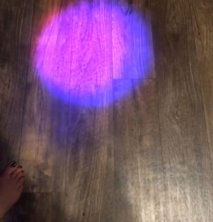 Barbara Dunkelman feet photo thumbnail