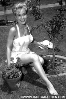 Barbara Eden feet photo thumbnail
