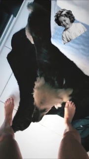 Barbara França feet photo 14