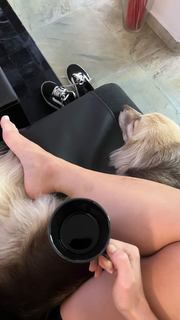 Barbara França feet photo 13