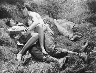 Barbara Hershey feet photo 5