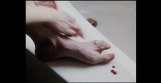 Barbara Hershey feet photo 9