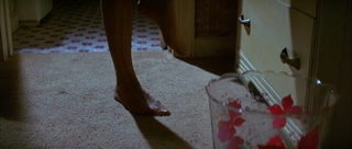 Barbara Hershey feet photo 2