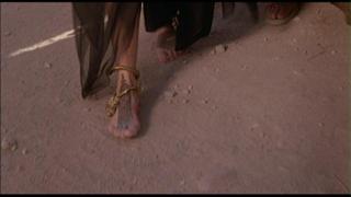 Barbara Hershey feet photo 5