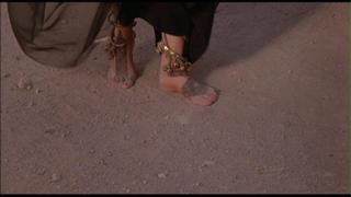 Barbara Hershey feet photo 4