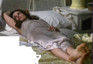 Barbara Hershey feet photo 1