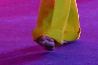 Barbara Kurdej-Szatan feet photo thumbnail