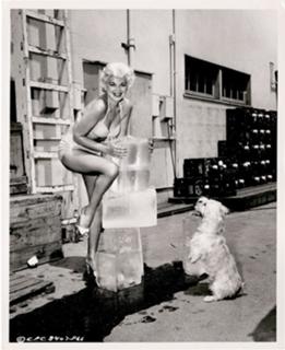 Barbara Nichols feet photo 3