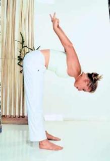 Barbara Schett feet photo 10