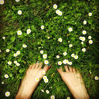 Barbora Strýcová feet photo 3