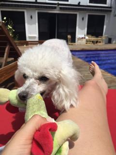 Barby Franco feet photo 2