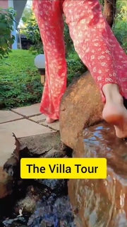 Barkha Singh feet photo thumbnail