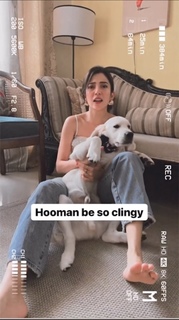 Barkha Singh feet photo thumbnail