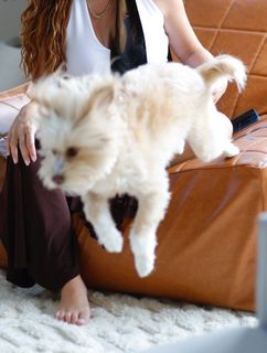Basak Gümülcinelioglu feet photo 3