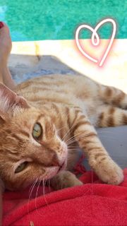 Basak Parlak feet photo thumbnail