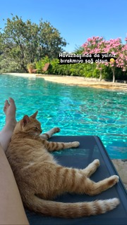 Basak Parlak feet photo thumbnail