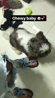 Bea Benedicto feet photo 19