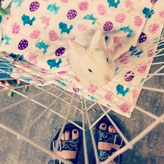 Beanie Feldstein feet photo 3