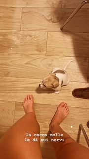 Beatrice Arnera feet photo 5