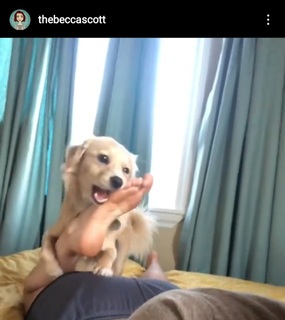 Becca Scott feet photo thumbnail