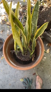 Becca Scott feet photo thumbnail