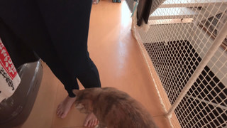 Becky Blow feet photo 3