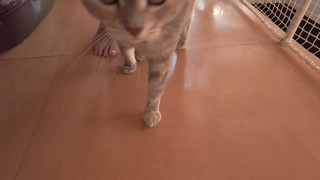 Becky Blow feet photo 2