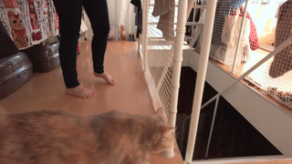 Becky Blow feet photo 1