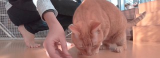 Becky Blow feet photo 1