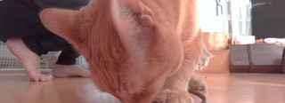 Becky Blow feet photo 20